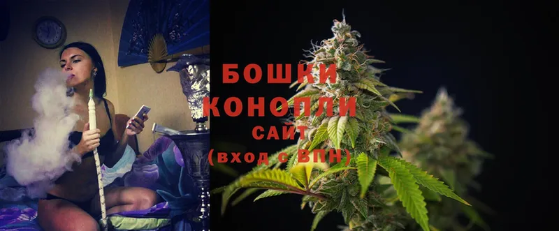 где купить наркоту  Серпухов  Шишки марихуана White Widow 